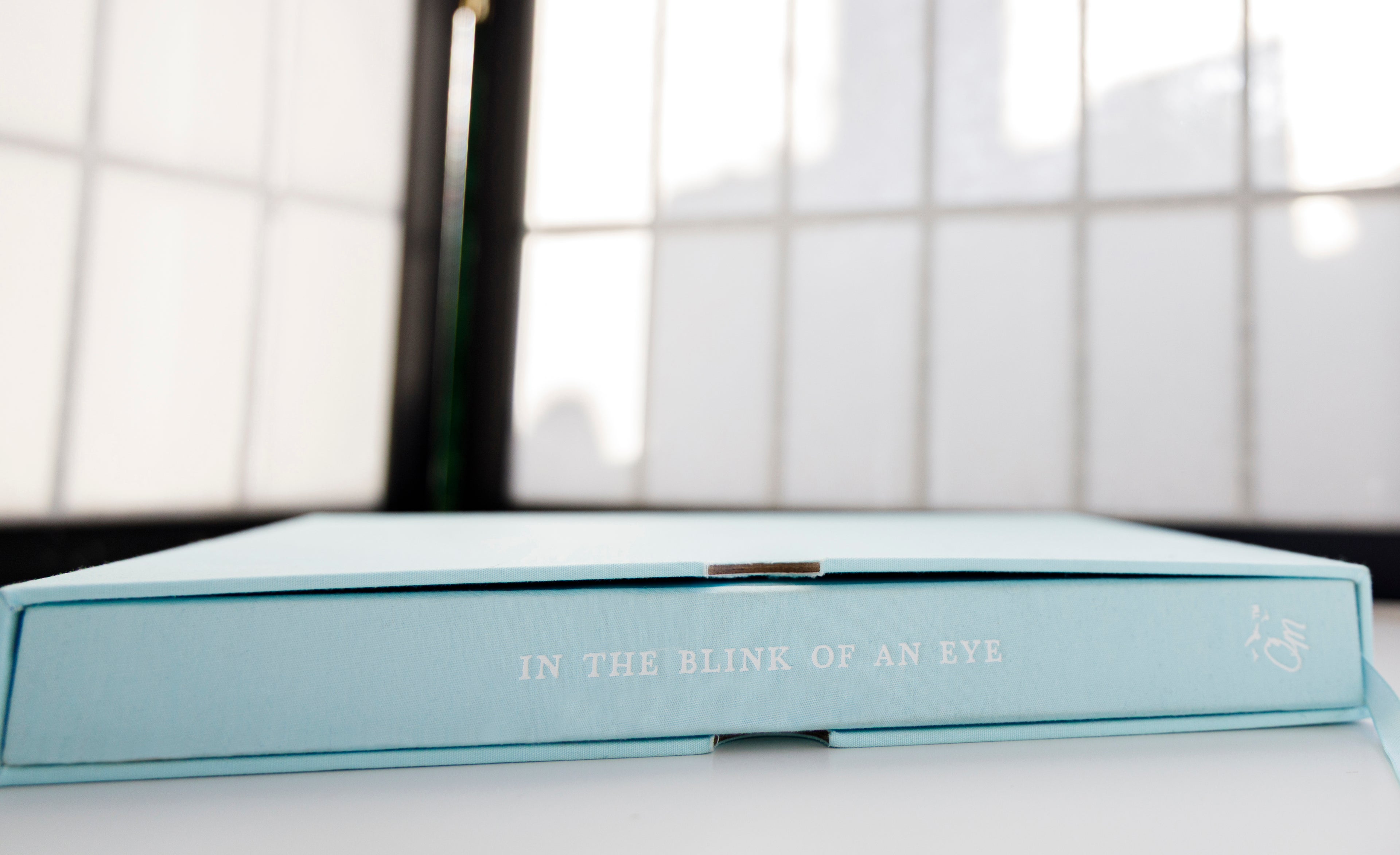 In the Blink of an Eye: A Photo Memory Keepsake Journal